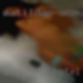 Sterling hotel Dallas swingers